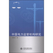 中国电力监管机构研究