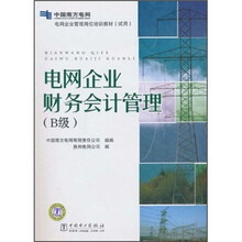 电网企业管理岗位培训教材（试用）：电网企业财务会计管理（B级）