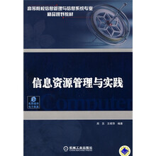 高等院校信息管理与信息系统专业精品规划教材：信息资源管理与实践
