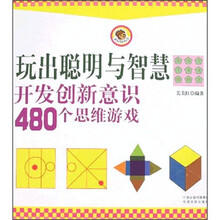 玩出聪明与智慧：开发创新意识480个思维游戏