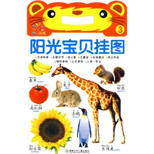 阳光宝贝挂图3