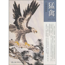 中国画教程:猛禽