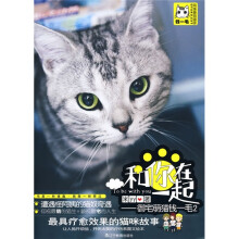 和你在一起：御宅萌猫钱一毛2
