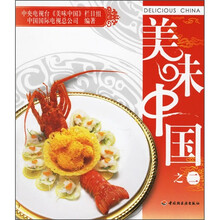 美味中国2