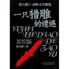 沈石溪动物文学精选：一只猎雕的遭遇（美绘版）