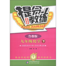 提分教练：9年级化学（下册）（鲁教版）