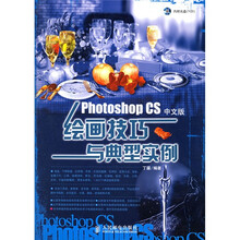 Photoshop CS中文版绘画技巧与典型实例（附光盘）