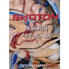 颅脑解剖与手术入路