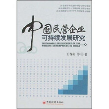 中国民营企业可持续发展研究
