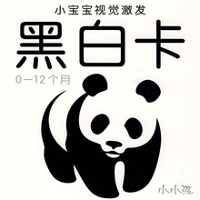 小宝宝视觉激发:黑白卡(0-12个月)