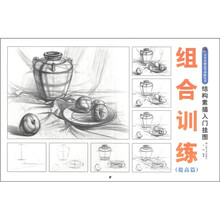 美术基础造型训练丛书:结构素描入门挂图(组合训练提高篇)