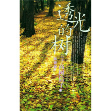 透光的树
