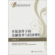 开发条件下的金融效率与经济增长