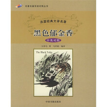 黑色郁金香