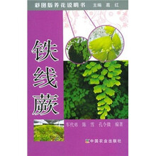 彩图版养花说明书：铁线蕨