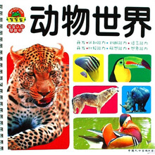 宝宝认知早教书：动物世界