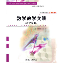 数学教学实践（初中分册）