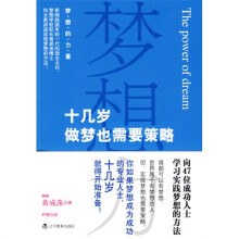 梦想力:十几岁做梦也需要策略