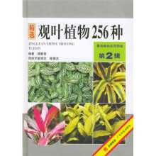 景观植物实用图鉴:精选观叶植物256种