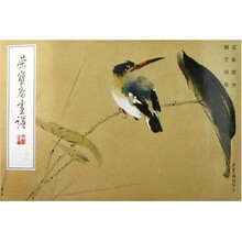 荣宝斋画谱182：花鸟部分