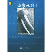 海象法则：学习型组织实践路线图