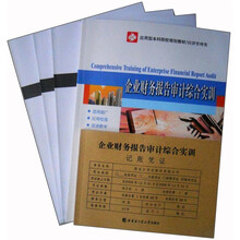 企业财务报告审计综合实训（套装共5册）