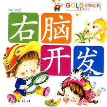 GOLD MEDIA金牌图书·儿童智力乐园：右脑开发