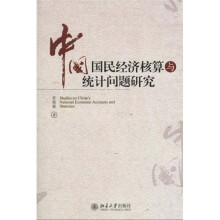 中国国民经济核算与统计问题研究