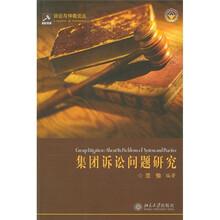 集团诉讼问题研究
