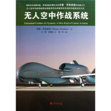 无人空中作战系统