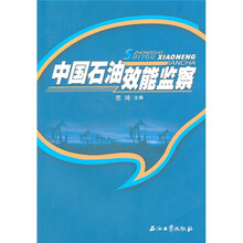 中国石油效能监察