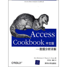 Access Cookbook中文版:数据分析详解