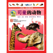 可爱的动物