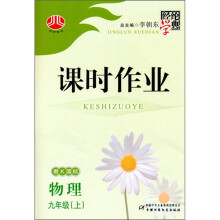 课时作业:物理(9年级)(上)(教K国标)