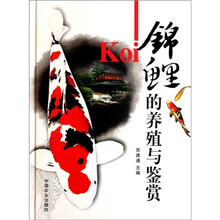 锦鲤的养殖与鉴赏
