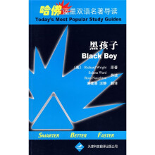 哈佛蓝星双语名著导读：黑孩子