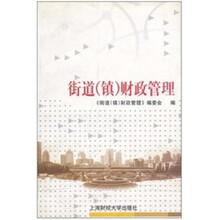 街道（镇）财政管理