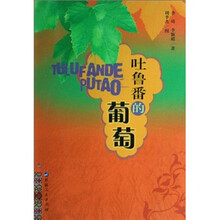 吐鲁番的葡萄