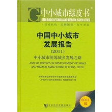 中国中小城市发展报告2011