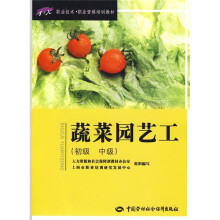 蔬菜园艺工(初、中级)