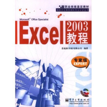 Excel2003教程（专家级）（附光盘）
