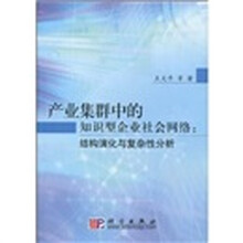 产业集群中的知识型企业社会网络：结构演化与复杂性分析