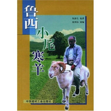 鲁西小尾寒羊