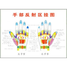手部反射区挂图