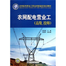 高级技师农网配电营业工职业技能鉴定培训教材：农网配电营业工（高级技师）