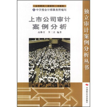 上市公司审计案例分析