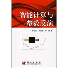 智能计算与参数反演