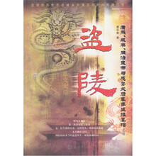 盗陵：康熙、咸丰、同治皇帝与慈安太后墓葬盗掘真相
