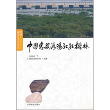 中国惠安洛阳江红树林