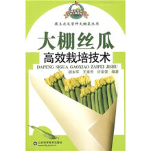 大棚丝瓜高效栽培技术